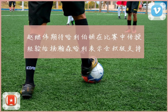 赵继伟期待哈利伯顿在比赛中传授经验给杨瀚森哈利表示会积极支持