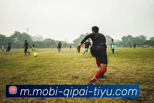 开元棋牌平台生态图