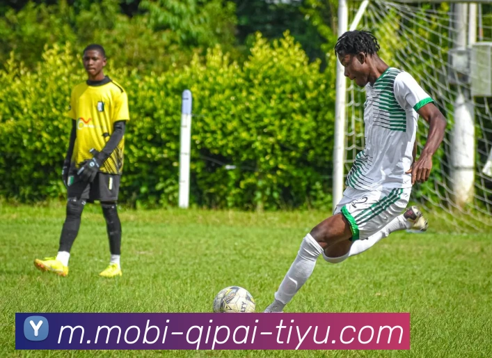 开元棋牌APP 封面图